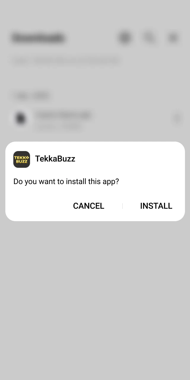 Finalize the TekkaBuzz App configuration to begin your mobile gaming journey.