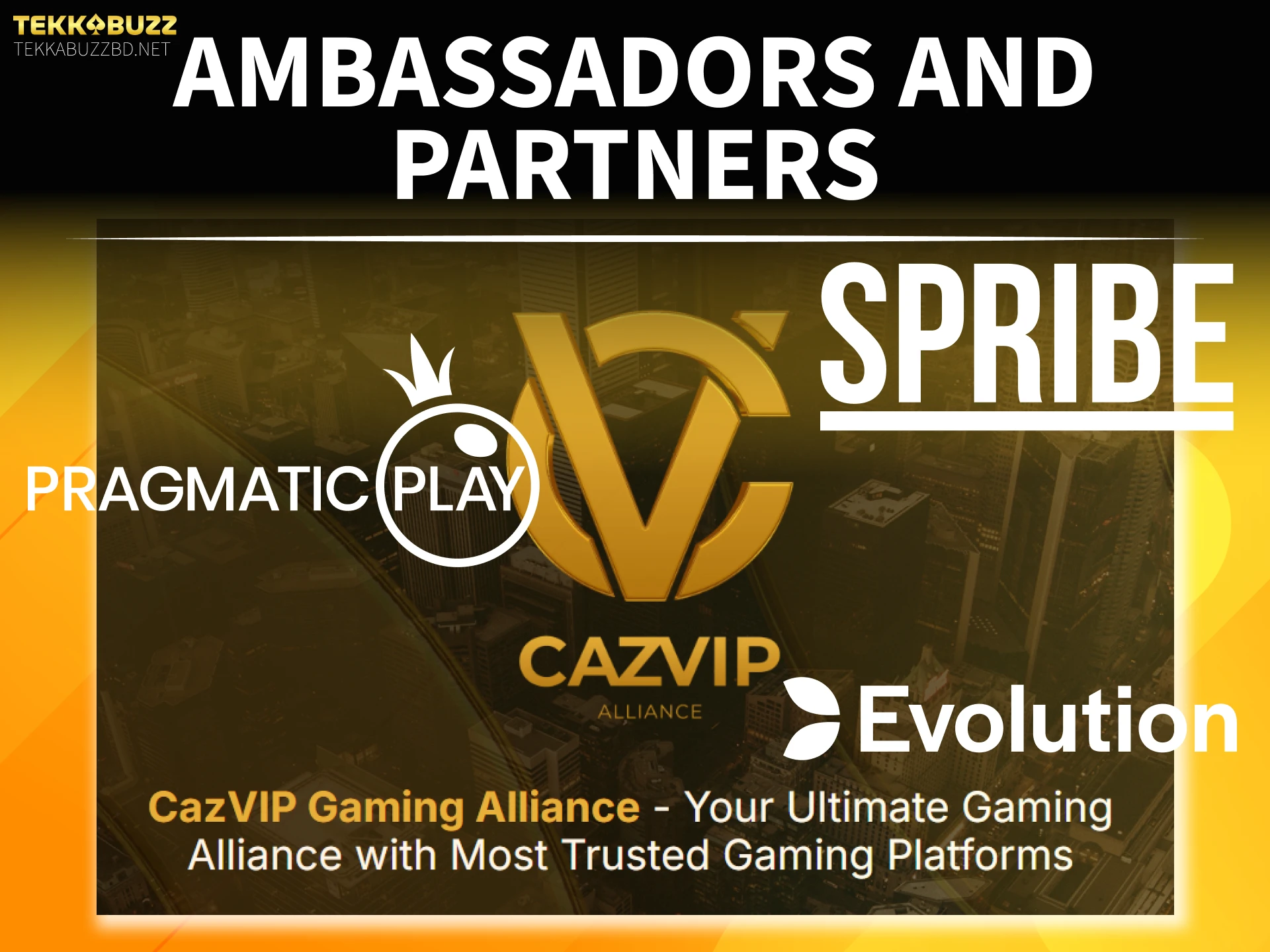 Learn about the partners supporting the TekkaBuzz sports betting brand.