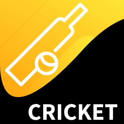Bet on cricket matches at TekkaBuzz and win big rewards.