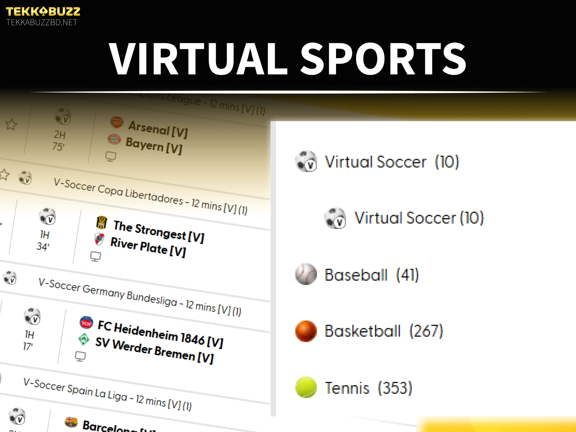 Bet on virtual sports matches using the TekkaBuzz sports betting platform.