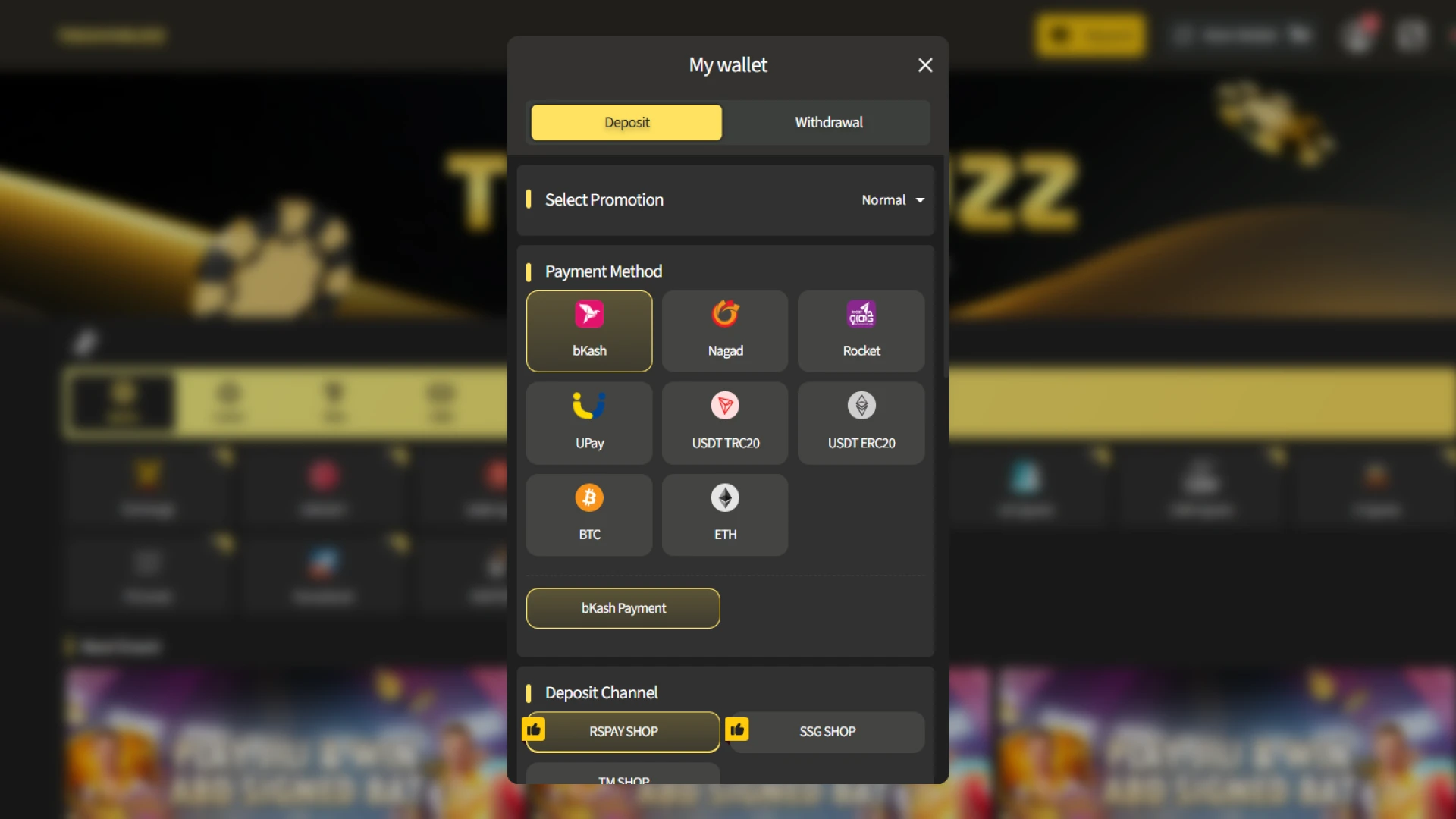 Add funds to your balance during the TekkaBuzz registration and login.